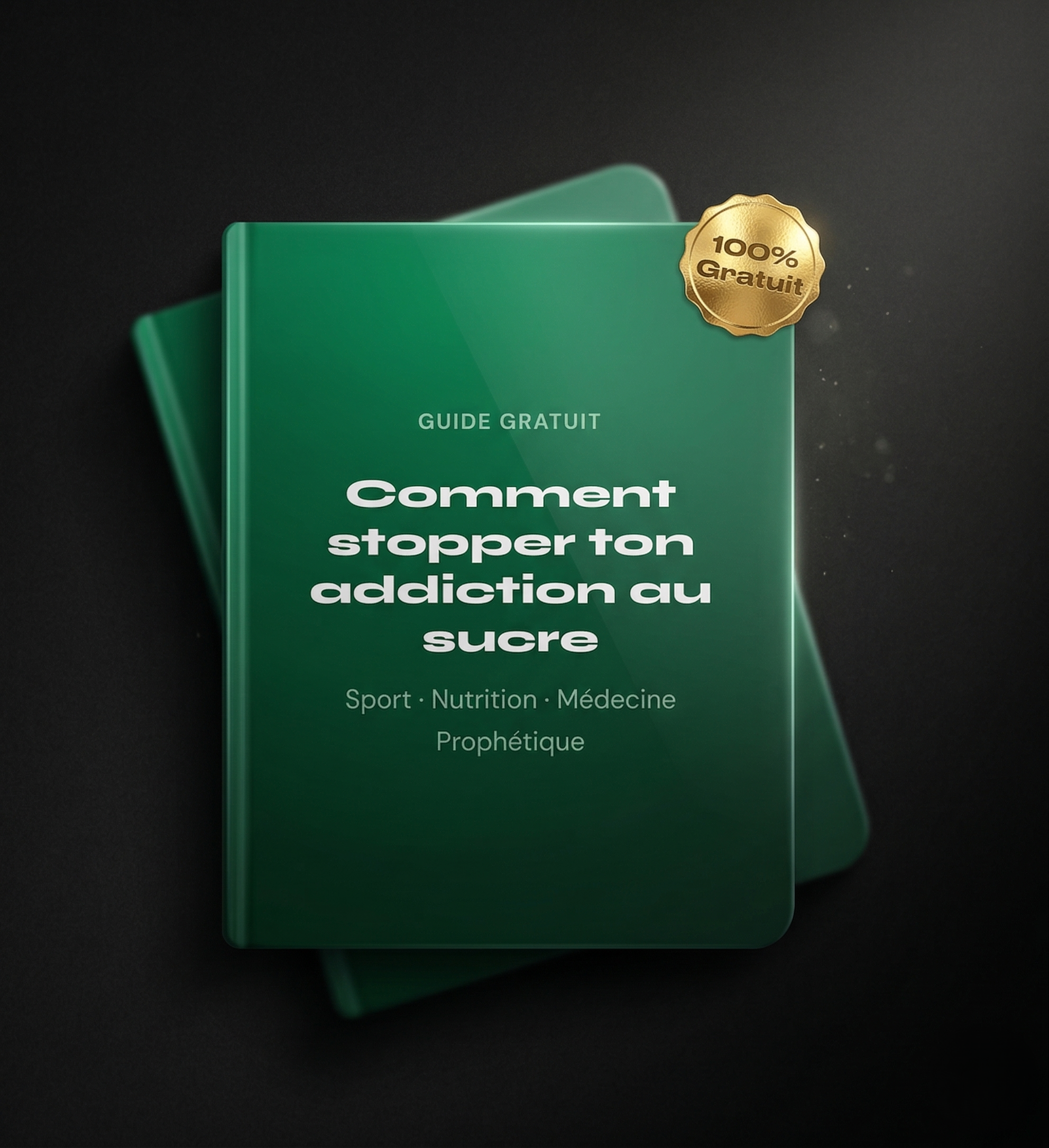 Ebook Gratuit